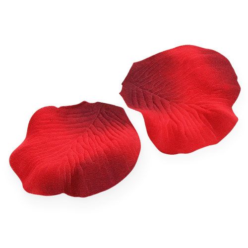 Floristik24 Streudeko Rosenblätter Rot 75St
