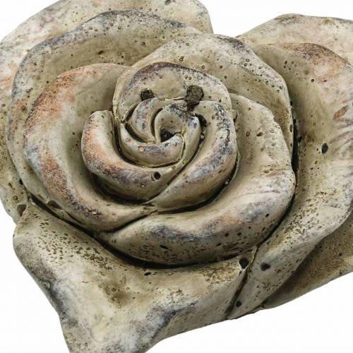 Floristik24 Beton-Rosen-Herz Grau, Apricot Ø13 H5cm 3 St