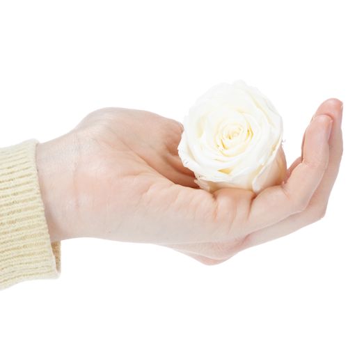 Artikel Rosenkopf Konserviert Haltbare Tischdekoration für romantische Atmosphäre Hochzeit Dekoration 5cm 6St