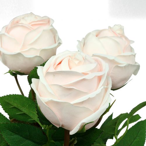 Floristik24 Rosenstrauß Zartrosa 65cm 4 St