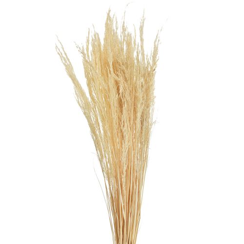 Artikel Straußgras Agrostis Capillaris Trockengräser Gebleicht 65cm 80g