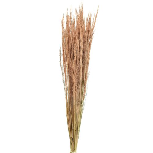 Artikel Rotes Straußgras Agrostis Trockengräser Rotbraun 65cm 80g