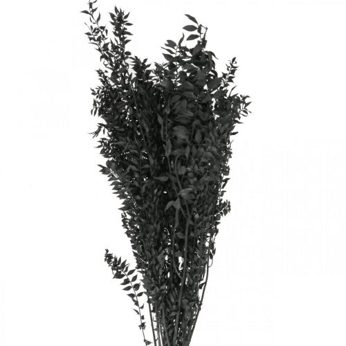 Floristik24 Ruscus Zweige Dekozweige Trockenblumen Schwarz 200g