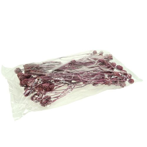 Artikel Salignum brombeer gefrostet 25St