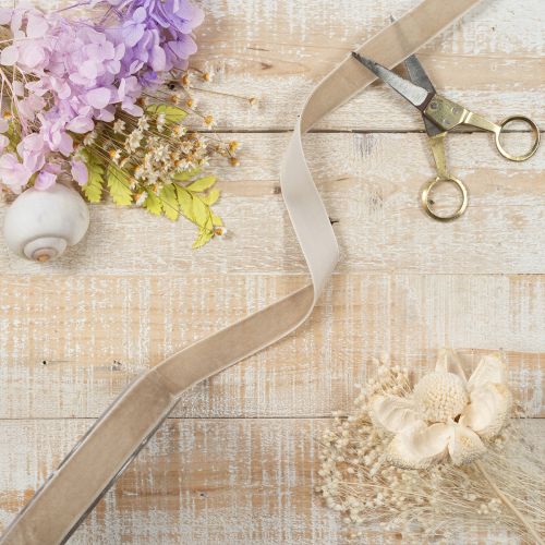 Geschenkband Samtband Beige 20mm 10m für Dekoration und Verpackung | Floristik24.at