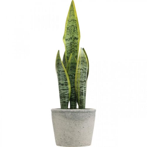 Floristik24 Künstlicher Bogenhanf, Grünpflanze im Topf, Sansevieria H39cm Ø12cm