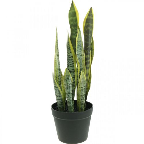 Floristik24 Sansevieria, Kunstblume, Bogenhanf im Topf H50cm Ø14cm