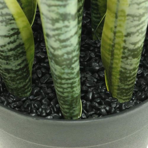 Artikel Sansevieria, Kunstblume, Bogenhanf im Topf H50cm Ø14cm