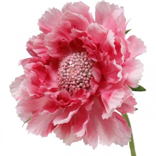 Künstliche Blumendeko, Skabiose Kunstblume Rosa 64cm Bund à 3St