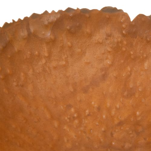 Runde Metallschale 20 cm Rostoptik strukturierte Oberfläche | Floristik24.at