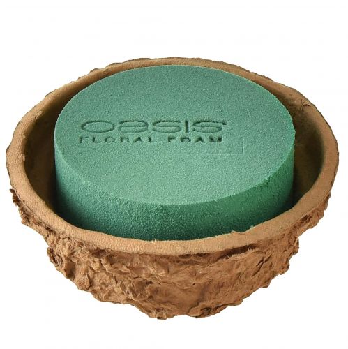 Floristik24 Schale Blumengesteck Nass Steckschaum H6cm Ø14cm 4 St