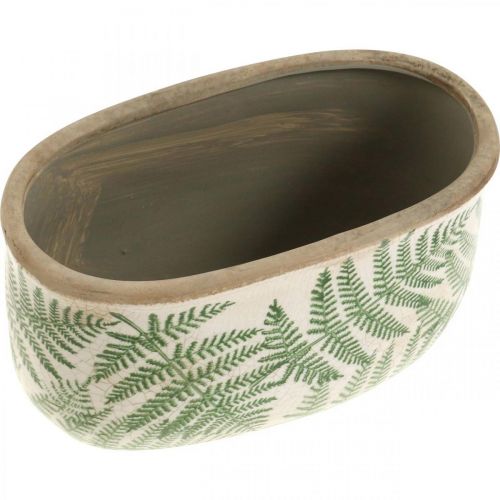 Floristik24 Pflanzschale Farn Steingut oval Keramiktopf 20×10×13,5cm 2St
