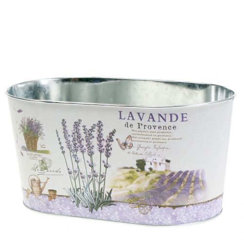 Floristik24 Pflanzschale Lavendel oval 22,5cm x 13,5cm H11cm