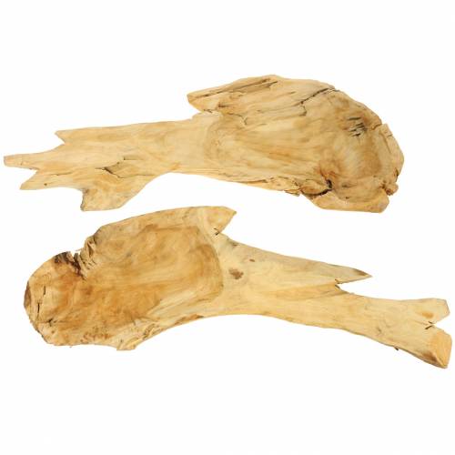 Floristik24 Schale Wurzelholz 50cm x 17cm H8cm