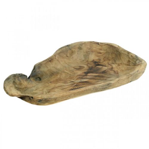 Dekoschale Paulownia Holz, Tischdeko, Pflanzgefäß L34cm H5cm