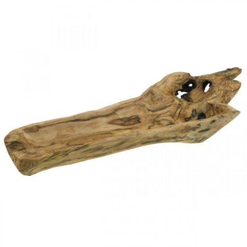 Floristik24 Dekoschale Paulownia Holz, Blumentablett, Holzgefäß L58cm H7–8cm