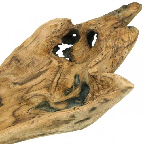 Floristik24 Dekoschale Paulownia Holz, Blumentablett, Holzgefäß L58cm H7–8cm