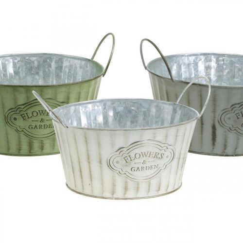 Floristik24 Pflanzschale aus Metall, Blumentopf Frühling, Pflanzgefäß mit Henkeln Grün, Weiß, Grau Ø21cm H15,5cm 3er-Set