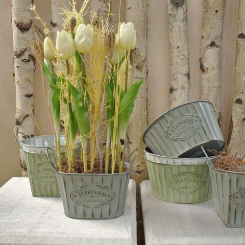 Floristik24 Blumentopf aus Metall Pflanzschale mit Griffen Grün, Weiß, Grau L24cm H14,5cm 3St
