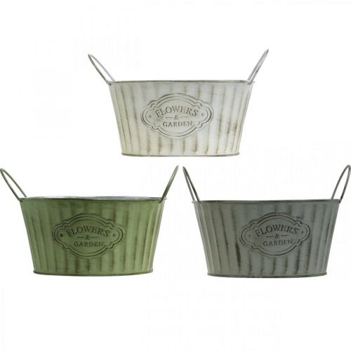 Floristik24 Pflanzschale aus Metall, Blumentopf Frühling, Pflanzgefäß mit Henkeln Grün, Weiß, Grau Ø21cm H15,5cm 3er-Set
