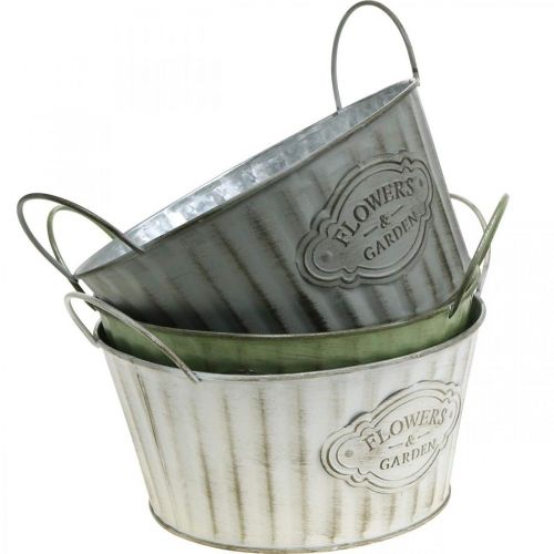 Floristik24 Pflanzschale aus Metall, Blumentopf Frühling, Pflanzgefäß mit Henkeln Grün, Weiß, Grau Ø21cm H15,5cm 3er-Set