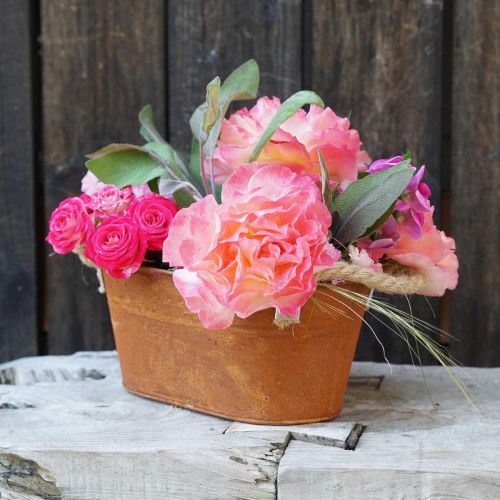 Floristik24 Metallschale mit Henkeln, Herbstdeko, Pflanzgefäß mit Edelrost L22cm H11cm