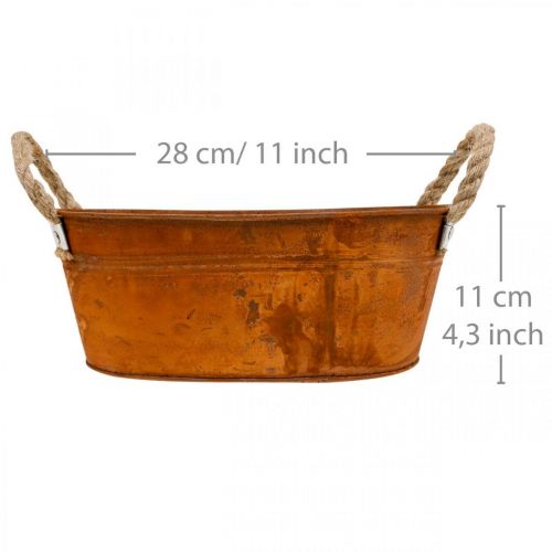 Floristik24 Pflanztopf mit Henkeln, Kräuterschale, Herbstdeko, Edelrost L28cm H11cm