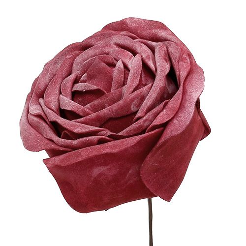 Floristik24 Schaumrose Mix Ø10cm 6St