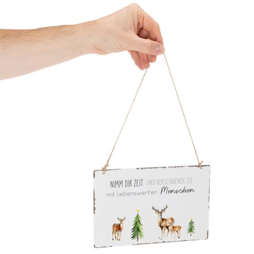 Metallschilder 2er-Set zum Hängen 21 x 14 cm mit Weihnachtsmotiven | Floristik24.at