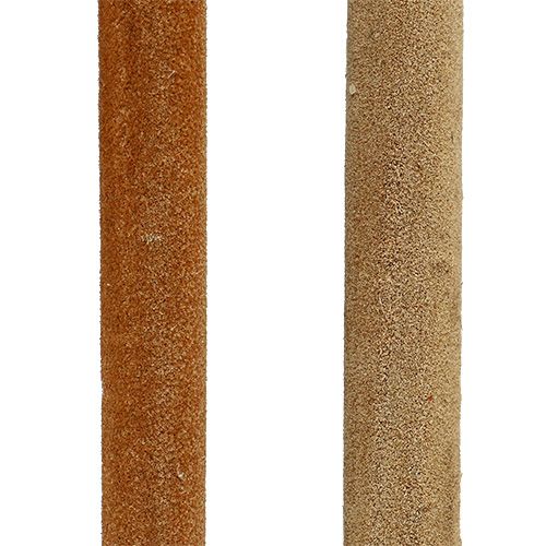 Artikel Schilfkolben Mix Natur Deko Schilf 70cm 100 St