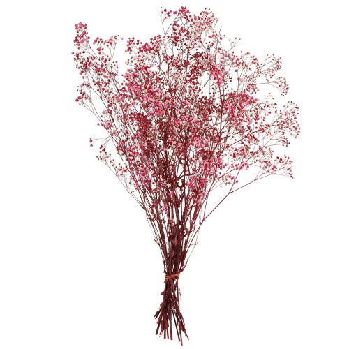 Artikel Schleierkraut Rispiges Gipskraut in Berry L50cm 55g