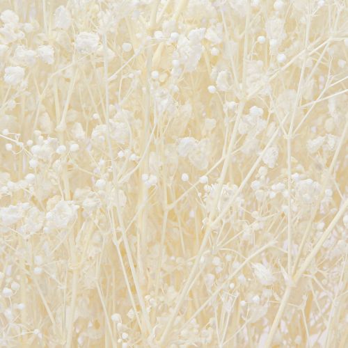 Artikel Schleierkraut Weiß Trockengräser Deko Creme 65-70cm 100g