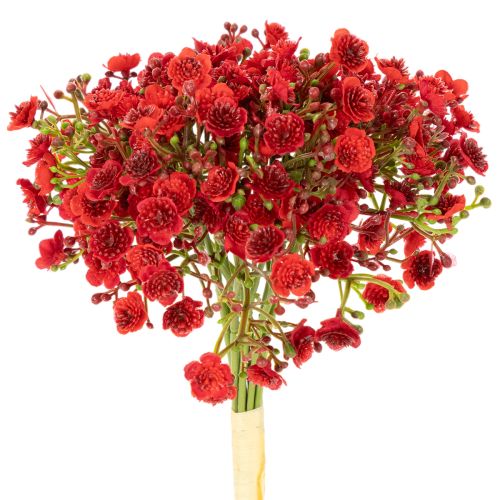 Künstliches Schleierkraut rot Bouquet 30cm 10 Stück | Floristik24.at