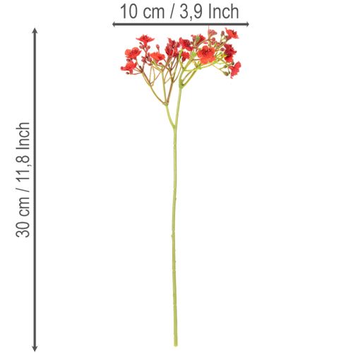 Künstliches Schleierkraut rot Bouquet 30cm 10 Stück | Floristik24.at