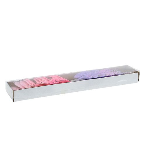 Floristik24 Schmetterling 5cm Rosa-Lila sort. 24St