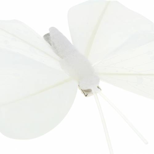 Floristik24 Federschmetterling auf Clip Weiß 7-8cm 8 St