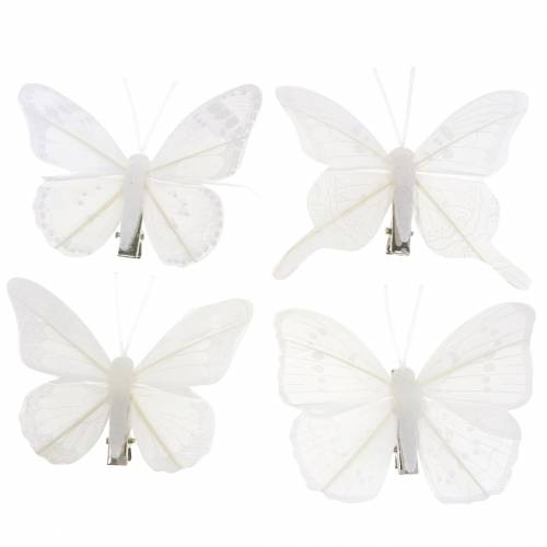 Floristik24 Federschmetterling auf Clip Weiß 7-8cm 8St