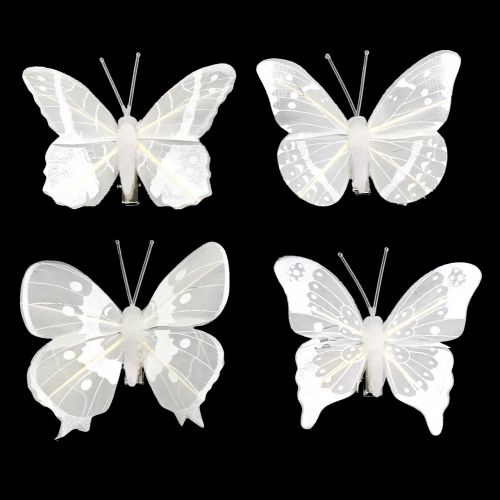 Floristik24 Schmetterling am Clip Weiß 8cm 8St