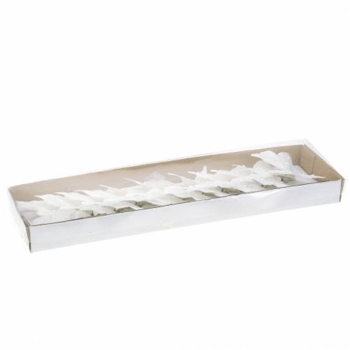 Floristik24 Federschmetterling auf Clip Weiß 10 cm 12 Stck
