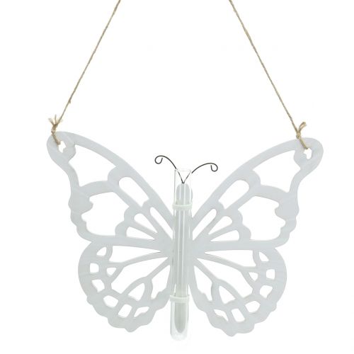 Schmetterling mit Reagenzglas zum Hängen 19x24cm 3St