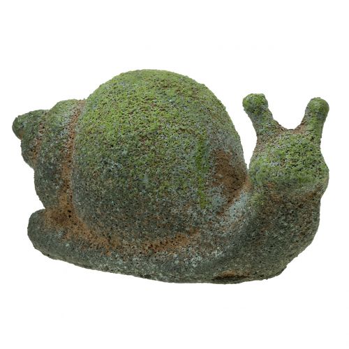 Floristik24 Gartenfigur Schnecke bemoost 31cm x 17cm H17cm