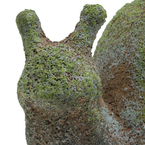 Floristik24 Gartenfigur Schnecke bemoost 31cm x 17cm H17cm