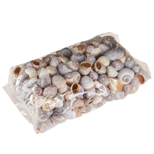 Artikel Schneckenhäuser Natur 1kg