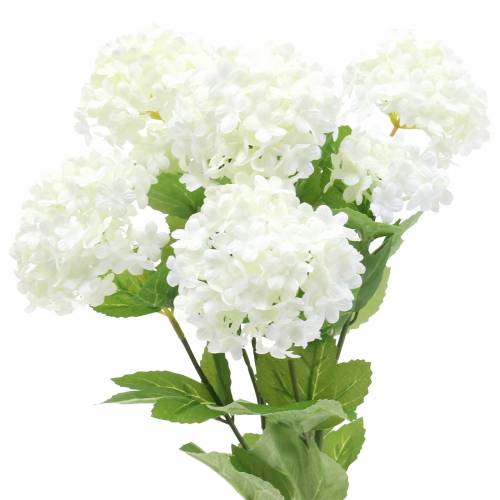 Floristik24 Schneeball Viburnum Zweig Weiß 42,5cm