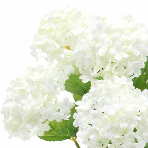 Schneeball Viburnum Zweig Weiß 42,5cm