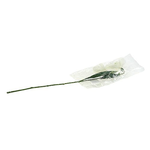 Floristik24 Schneeglöckchen L48cm beschneit