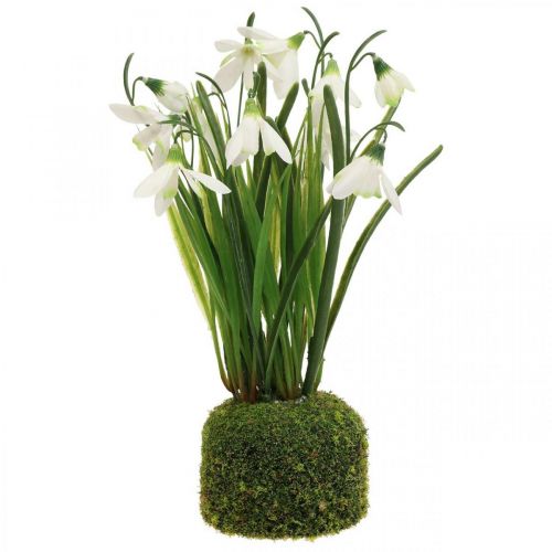 Floristik24 Schneeglöckchen künstlich, Schneeglöckchen Kunstblume 25cm