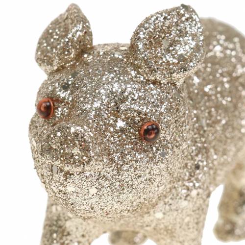 Floristik24 Deko Schwein Glitter Champagner 10cm 8St