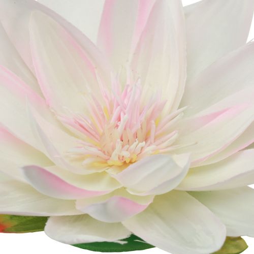 Artikel Schwimmende Seerosen künstlich Tischdeko Weiß, Rosa Ø15cm 2St