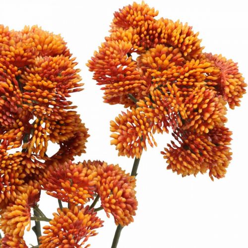 Floristik24 Sedum Künstliche Fetthenne Orange Herbstdeko 70cm 3St